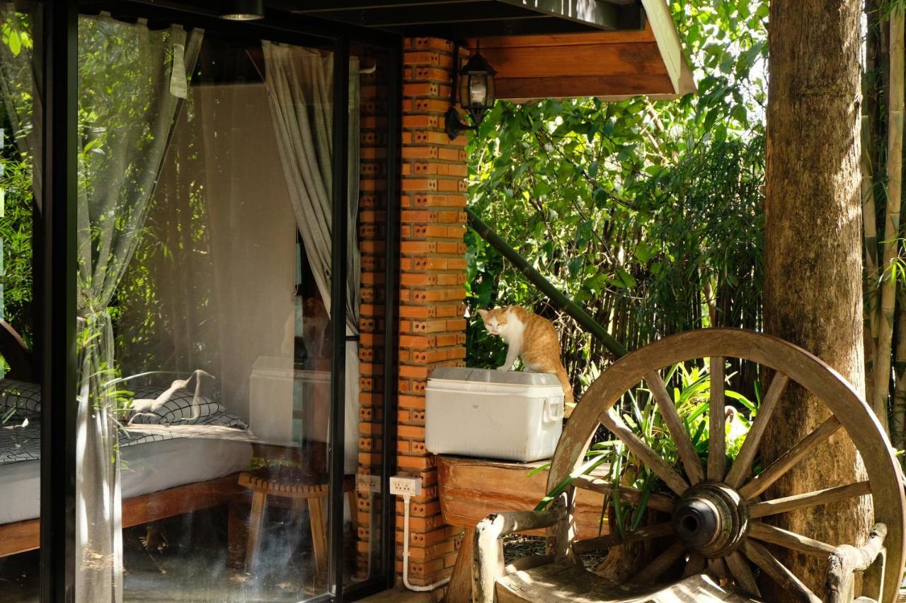 Ashi Guesthouse Chiangdao Csiangdau Kültér fotó